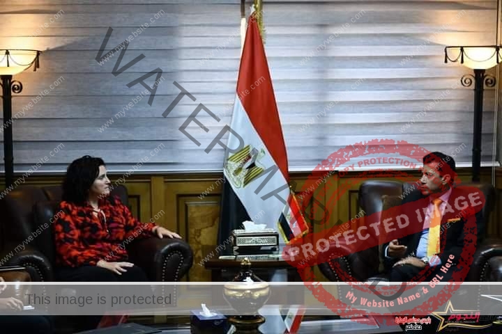 صبحي يلتقي مُمثلة هيئة الأمم المتحدة للمرأة في مصر