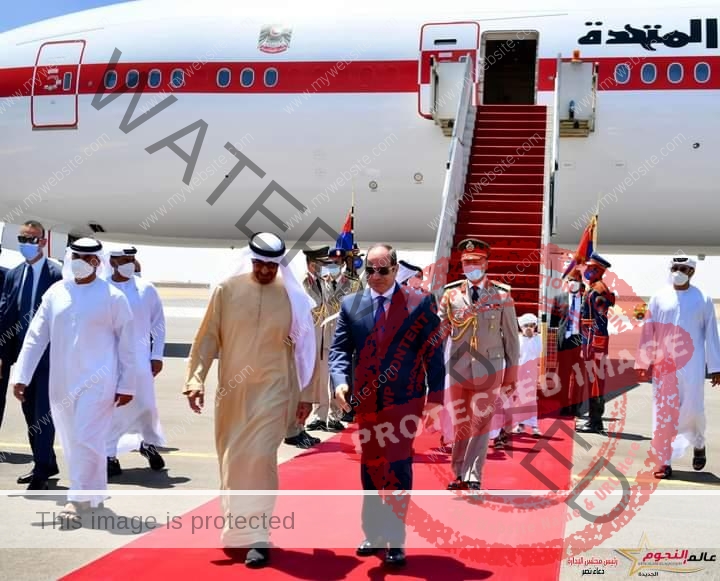 السيسي يستقبل رئيس دولة الامارات العربية المتحدة بمطار العلمين