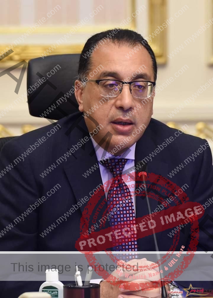 رئيس الوزراء يعود إلى القاهرة بعد مشاركته في قمة "تيكاد ٨" نيابة عن الرئيس السيسي