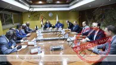 وزيرا النقل بمصر والسودان يترأسان الاجتماع 179لمجلس إدارة هيئة وادي النيل للملاحة النهرية
