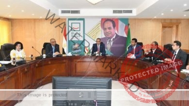 محافظ الفيوم ونائب وزير الصحة يترأسان اللجنة العامة لحماية الطفل