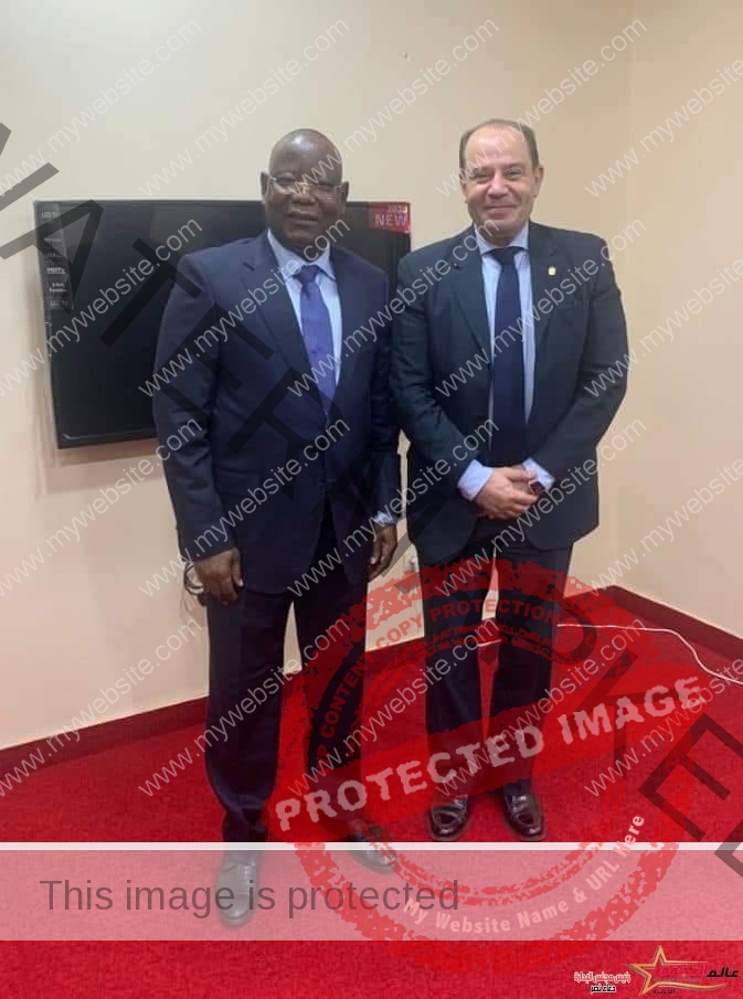 السفير المصري في نيامي يلتقي وزير الداخلية النيجري