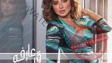 أنغام تشوق جمهورها لأحدث أغانيها "عارفة قيمتي"