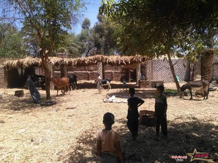 مصطفى ألهم : متابعة سير اعمال لجان التحصينات الخاصة بالحملة القومية الثانية للتحصين ضد مرضى الحمى بالاقصر