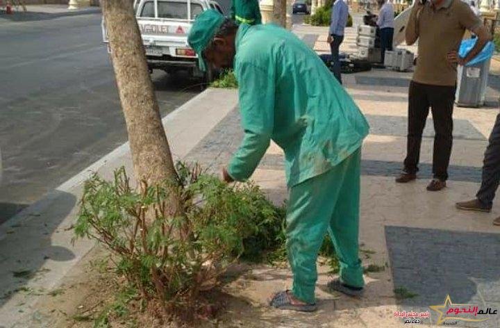 نشاط مكثف لجهاز التطوير والتجميل بمدينة الإسماعيلية 