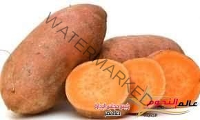 البطاطا الحلوة ومالها من فوائد مذهلة للصحة