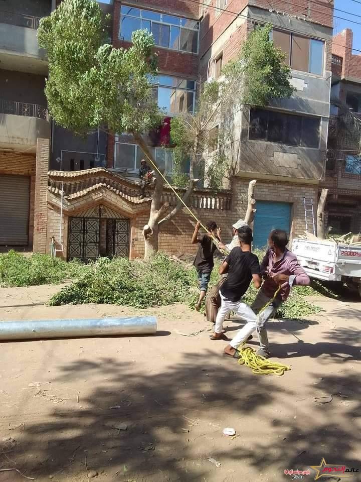 طوارئ كهرباء القليوبية لتطوير شبكة الكهرباء بشبين القناطر تحت مبادرة حياة كريمة 