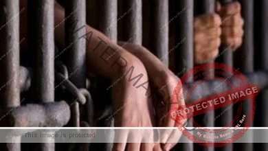 جنايات الإسكندرية: السجن المشدد 5 سنوات لعاطلين … التفاصيل
