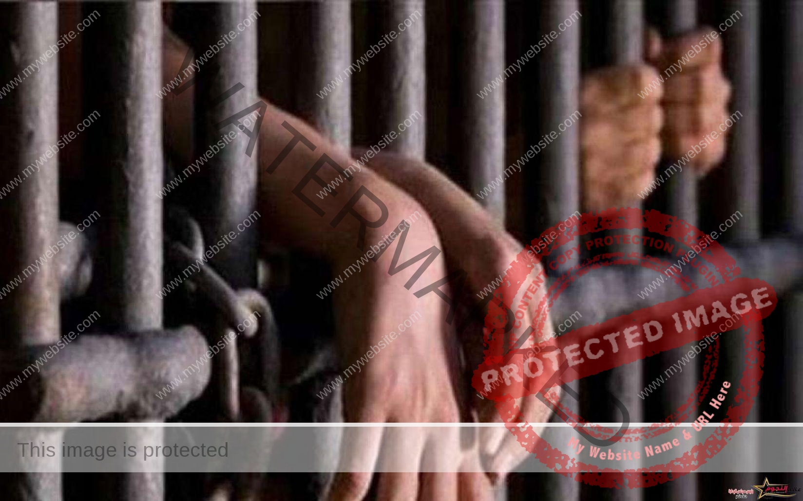 جنايات الإسكندرية: السجن المشدد 5 سنوات لعاطلين … التفاصيل