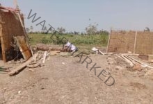 إزالة ٣٩ حالة تعدي بمساحة ٧ آلاف و٦٦٣متر مباني  و٢٣ قيراط أرض زراعية بنطاق محافظة الشرقية 