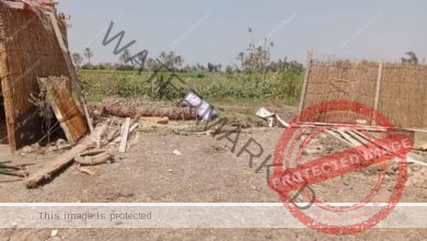 إزالة ٣٩ حالة تعدي بمساحة ٧ آلاف و٦٦٣متر مباني  و٢٣ قيراط أرض زراعية بنطاق محافظة الشرقية 