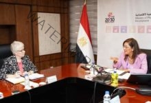 السعيد تناقش مع منظمة التعاون الاقتصادي والتنمية الخطوات التنفيذية للبرنامج القُطري لمصر