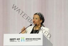 وزيرة البيئة: مؤتمر المناخ COP27 يخرج من قلب أفريقيا كمؤتمر متكامل