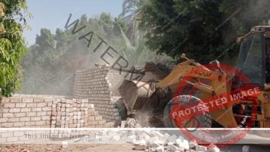 محافظ أسيوط: إزالة 43 حالة تعدي ومخالفات بناء بحي شرق ومركزي البداري وأبنوب