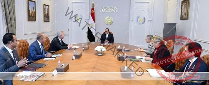 السيسي يوجه بالبدء فى التعاون مع مجموعة ميرسك العالمية لإنشاء شبكة وطنية متكاملة في مصر