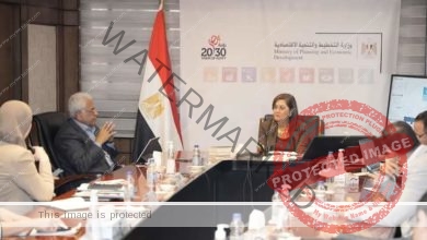 السعيد : وضع رؤية مصر 2030 ضمن محاور الحوار الوطني يحقق التشاركية في التخطيط للمستقبل