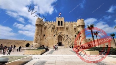 وزارة السياحة والآثار تتيح إمكانية شراء تذاكر زيارة 6 مواقع أثرية بمحافظة الأسكندرية إلكترونيًا   