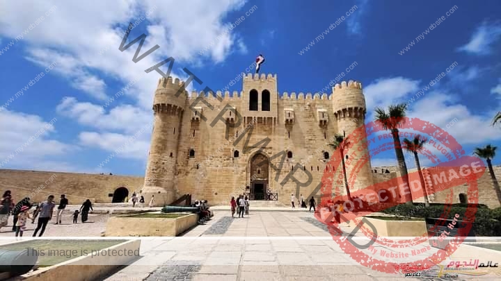 وزارة السياحة والآثار تتيح إمكانية شراء تذاكر زيارة 6 مواقع أثرية بمحافظة الأسكندرية إلكترونيًا     