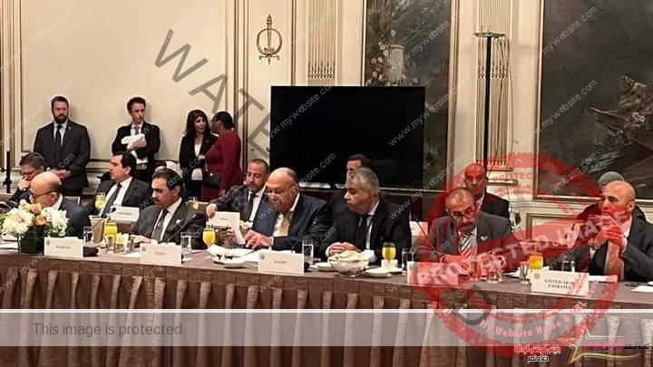 شكري يستعرض الموقف المصري من القضايا الإقليمية والدولية خلال اجتماع وزراء خارجية الولايات المتحدة 