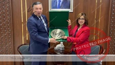 السفيرة المصرية فى طشقند تلتقى مع وزير الصحة الأوزبكي