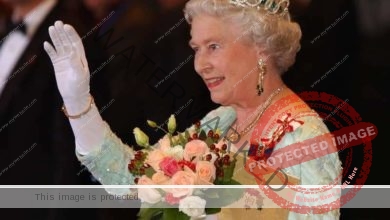 على مدار 70 عامًا.. أرقام قياسية حطمتها إليزابيث الثانية ملكة بريطانيا الراحلة