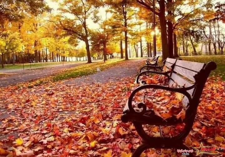 متى سيبدأ فصل الخريف لعام 2022 في مصر