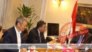 وزير قطاع الأعمال العام يبحث مع "هاندا" الصينية تعزيز التعاون وزيادة استثماراتها في مصر