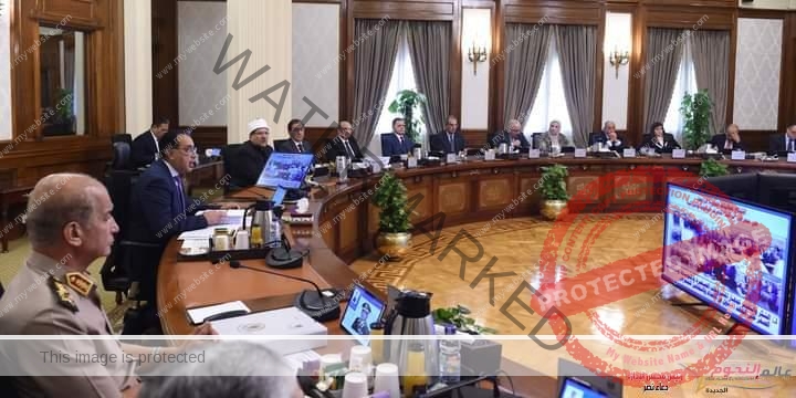 مجلس الوزراء يوافق على مشروع قانون بشأن منح بعض التيسيرات للمصريين المقيمين فى الخارج
