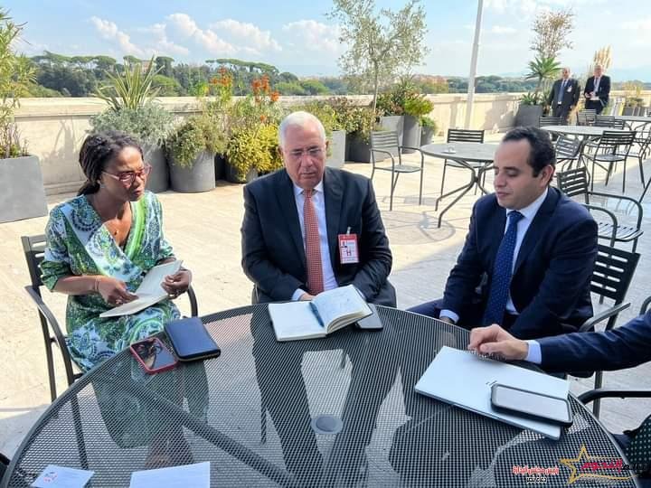 وزير الزراعة يلتقي خبيرين دوليين في إدارة أزمات الأمن الغذائي بالأمم المتحدة