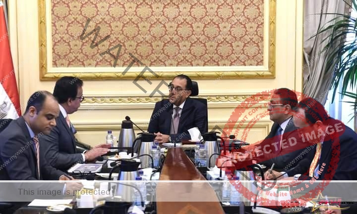 رئيس الوزراء يستعرض مع وزير الصحة والسكان خطة الوزارة لتنفيذ الإستراتيجية القومية لتنمية الأسرة المصرية