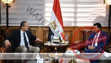 وزير الشباب والرياضة يستقبل سفير مصر بالسودان