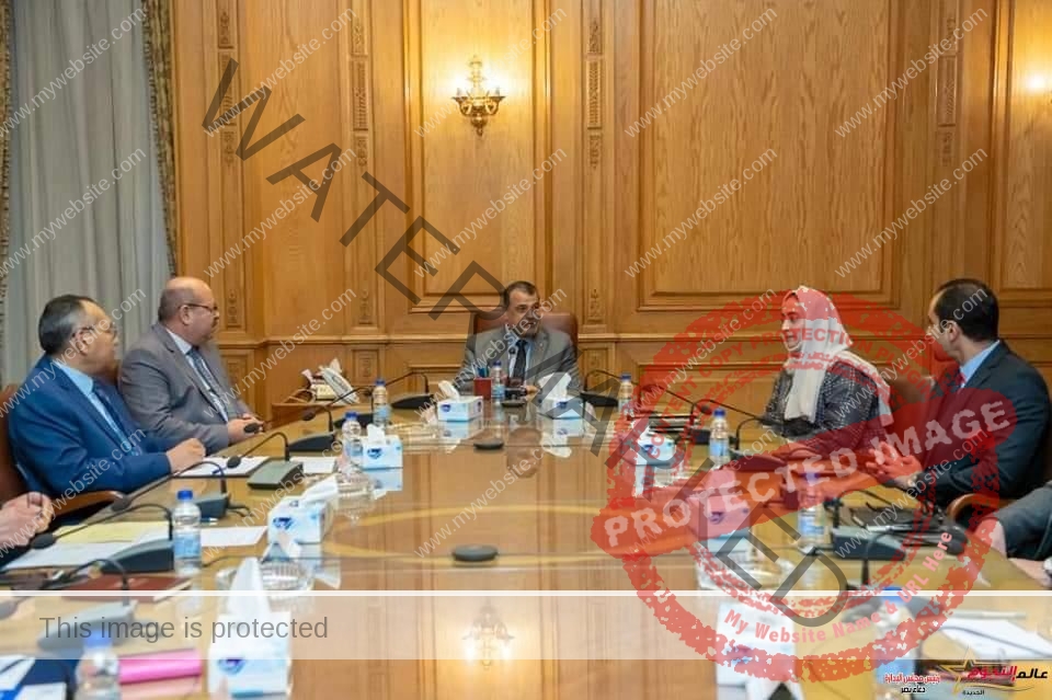 "وزير الدولة للإنتاج الحربي" يستقبل رئيسة شركة "إم جلوري" الإماراتية لبحث الموقف التنفيذي للتعاون المشترك