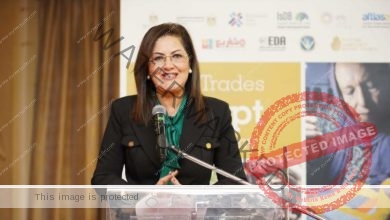 وزيرة التخطيطِ تشهد الاحتفالية الختامية لمشروع المرأة في التجارة الدولية في مصر (SheTrades Egypt)