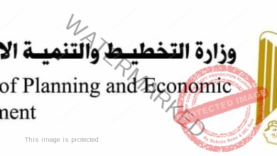 السعيد تستعرض جهود الحكومة المصرية في تخضير الخطة الاستثمارية