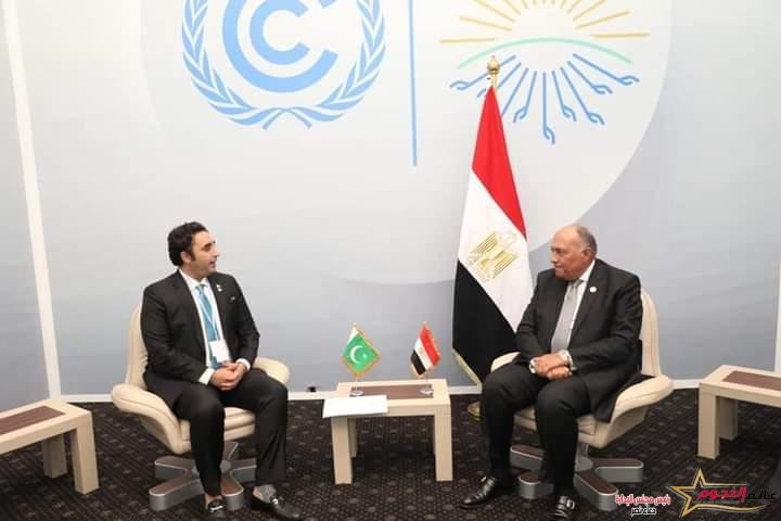  شكري يلتقي مع وزير خارجية باكستان ووزيرة التغير المناخي