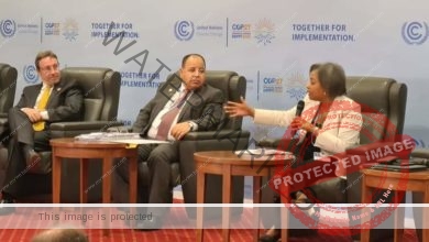 وزير المالية: مصر «الرابعة» أفريقيًا في تحقيق أهداف التنمية المستدامة … بشهادة الأمم المتحدة في ٢٠٢٢
