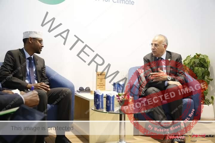 سويلم يبحث مع وزير الموارد المائية الصومالي مجالات التعاون الثنائي بين البلدين