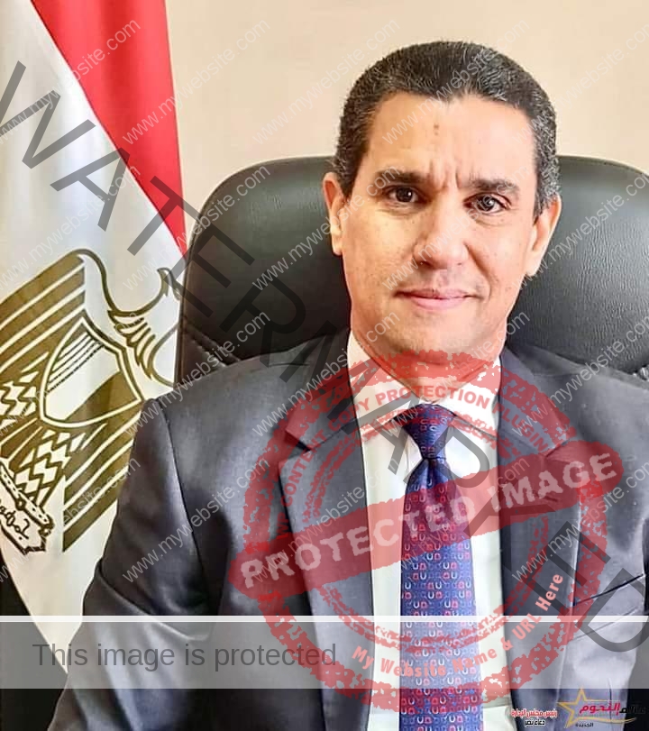 مصر تشارك مجدداً فى اجتماعات العشرين والسفير راجي الإتربي ممثلاً شخصياً للرئيس السيسي لدى المجموعة