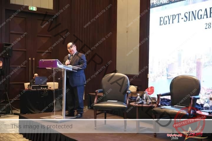 معيط: نتطلع إلى زيادة استثمارات سنغافورة فى مختلف قطاعات التنمية المستدامة بمصر