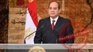 مصر تستطيع صنع المستقبل وتحدي دعاة التخريب رغم تداعيات الأحداث الدولية إقتصادياً ومجتمعياً