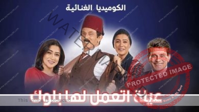 افتتاح مسرحية "عيلة اتعمل لها بلوك " للنجم محمد صبحي.. في هذا الموعد