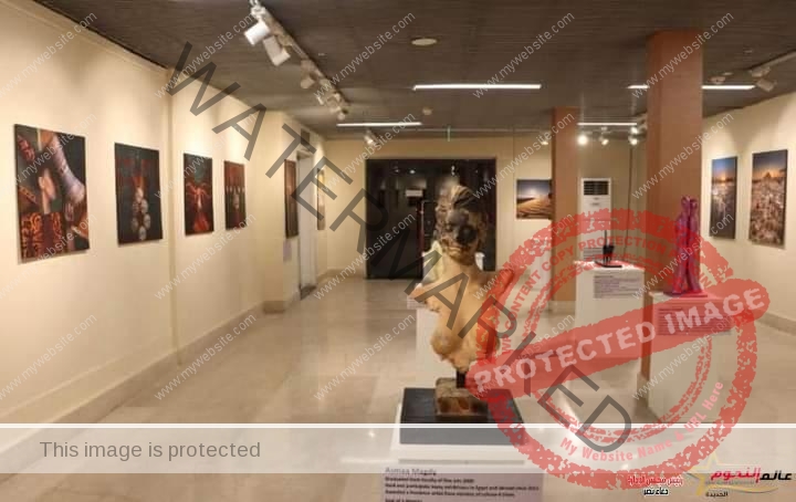 السفارة المصرية في نيودلهي تفتتح معرضاً للصور الفوتوغرافية والقطع النحتية