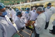 وزير الزراعة يعلن فتح السوق الفلبيني أمام الصادرات المصرية لأول مرة