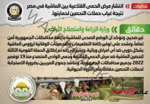 الحكومة تنفي انتشار مرض الحمى القلاعية بين الماشية في مصر نتيجة غياب حملات التحصين لحمايتها