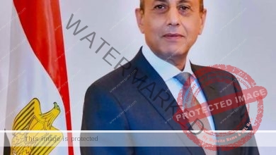 وزير الطيران يهنئ رئيس منظمة الإيكاو ويؤكد التزام مصر بتعزيز أمن وسلامة الطيران