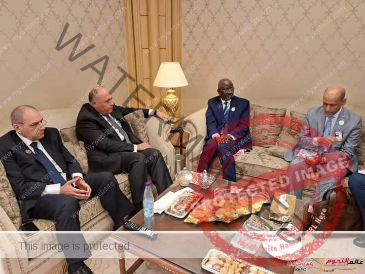 وزير الخارجية يلتقي وزير الشئون الخارجية والتعاون والموريتانيين في الخارج بالرياض