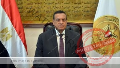 آمنة: مستمرون في جهود تطوير التكتلات الاقتصادية ضمن برنامج التنمية المحلية بصعيد مصر