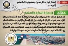 الحكومة تنفي إصدار قرار بحظر دخول بعض واردات السلع إلى مصر