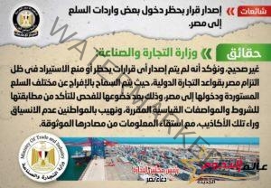 الحكومة تنفي إصدار قرار بحظر دخول بعض واردات السلع إلى مصر