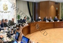 مجلس الوزراء يوافق على تعديل قرار منح بعض التيسيرات للمصريين المقيمين بالخارج